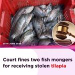 #Two Fishmongers Fined for Receiving Stolen Tilapia